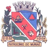  Patrocínio do Muriaé